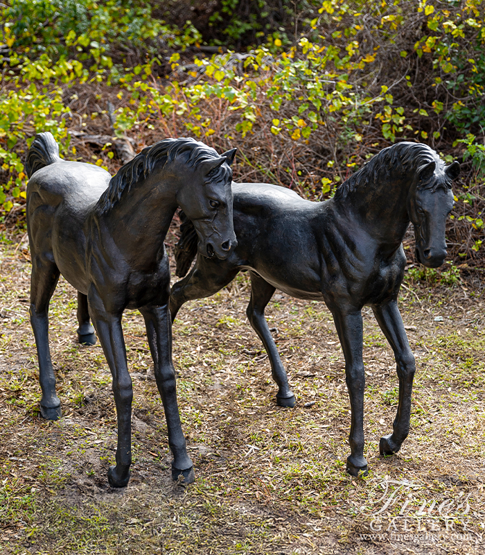 Bronze Statues  - A Pair Of Horses In Lost Wax Bronze - BS-1736